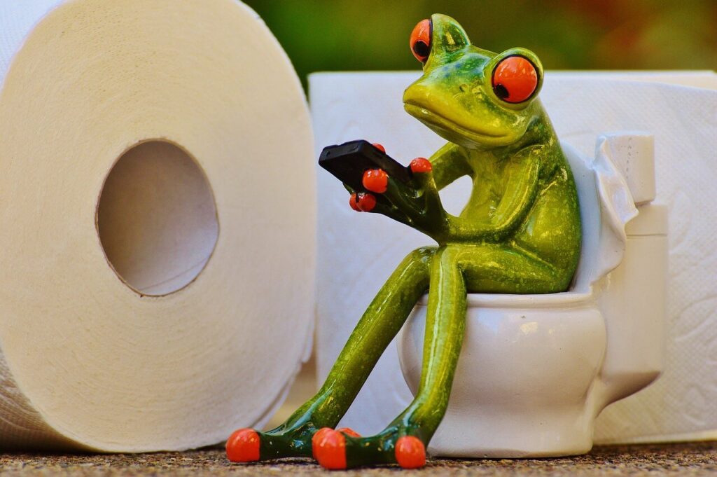 변기에-앉아-있는-개구리